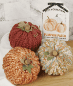 31 Cute And Cheap Dollar Store DIY Fall Crafts I Luve It