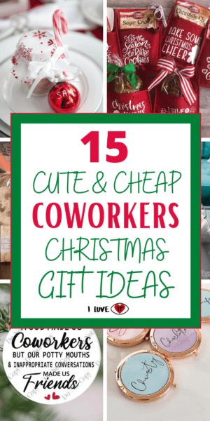 15 Cute and Cheap Christmas Gifts for Coworkers - I Luve It