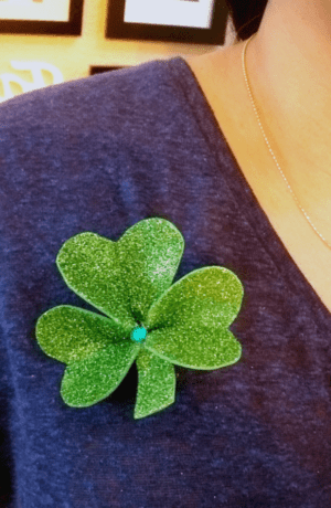 22 Easy To Make DIY St Patricks Day Crafts for Adults - I Luve It