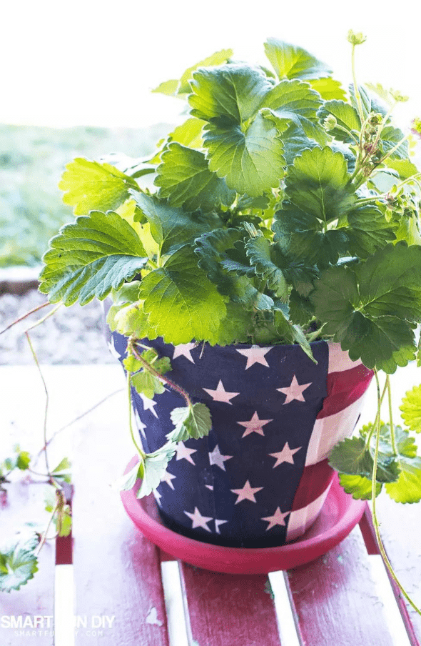 4th of July pots 