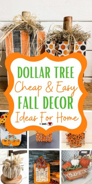 52 Cheap and Easy Dollar Tree DIY Fall Decor Ideas - I Luve It
