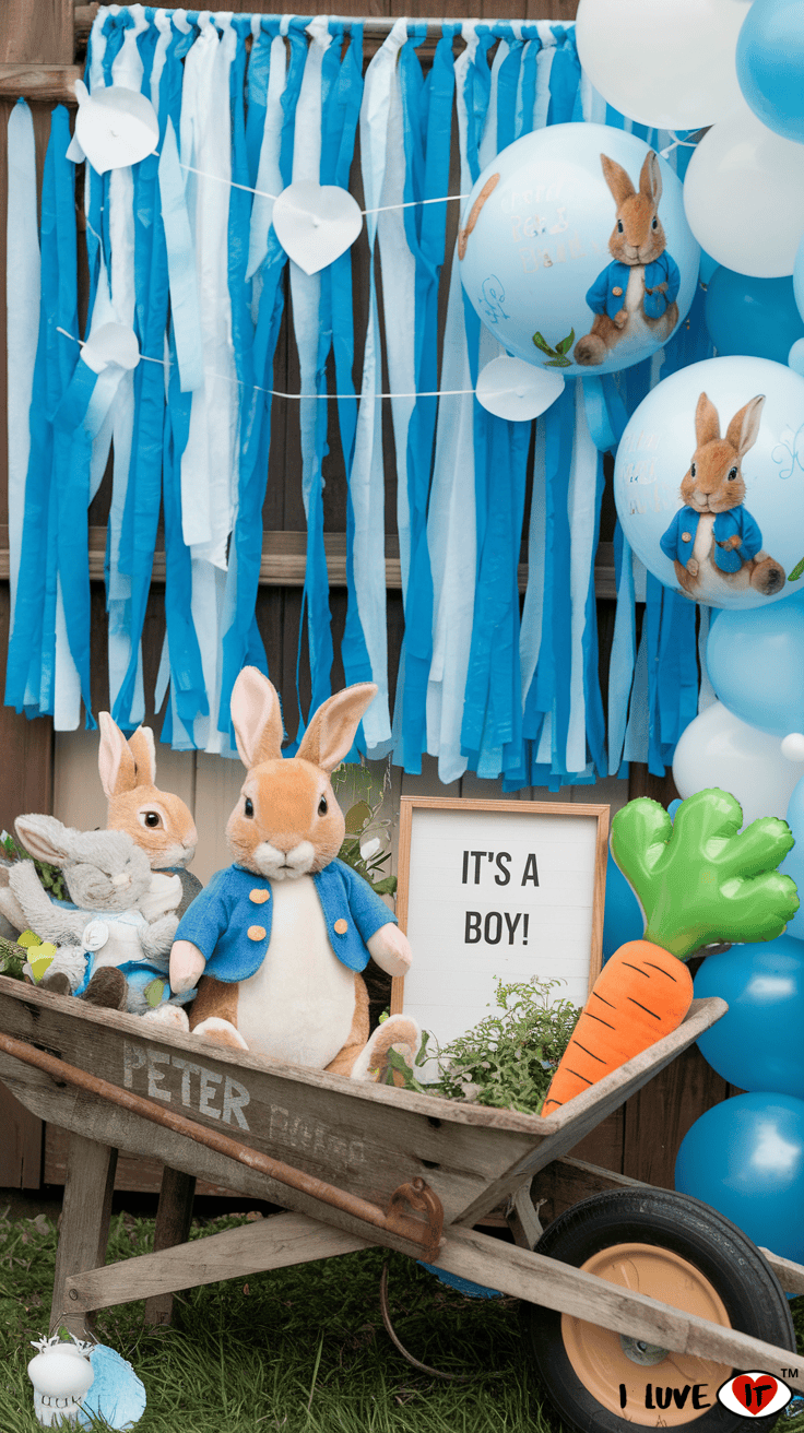 Peter rabbit boys ideas